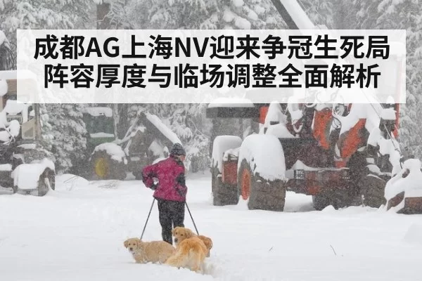 成都AG上海NV迎来争冠生死局 阵容厚度与临场调整全面解析