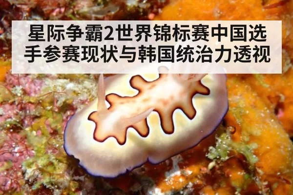 星际争霸2世界锦标赛中国选手参赛现状与韩国统治力透视